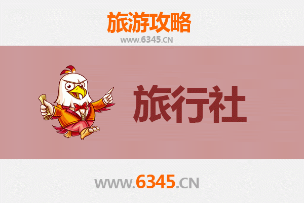 衡水本地旅行社推荐：畅游湖城文化与生态之旅