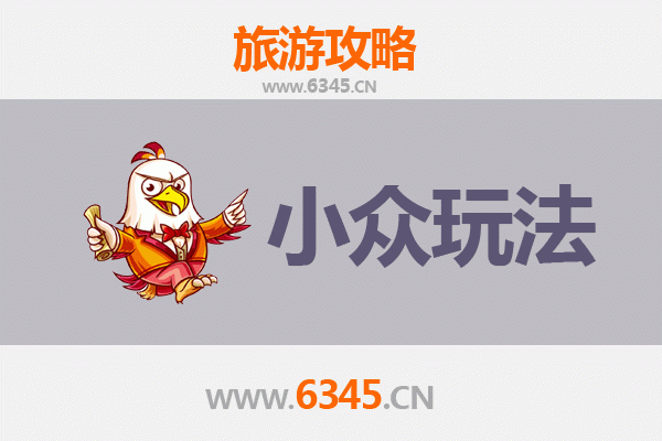 衡水枣强小众探秘：避开人潮，解锁深藏的古韵与田园时光